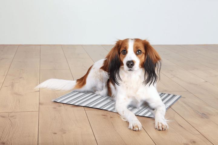 Immagine prodotto Trixie Tappeto di raffreddamento (Cane)