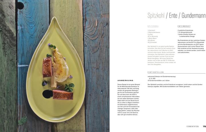 Immagine prodotto Fermentation (Tedesco, Tommaso, Antoniewicz, Heiko/Ruhl, 2021)