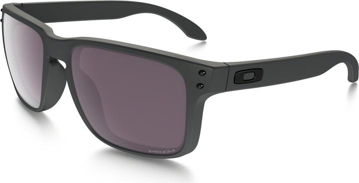 Steel, Prizm Daily Polarized
