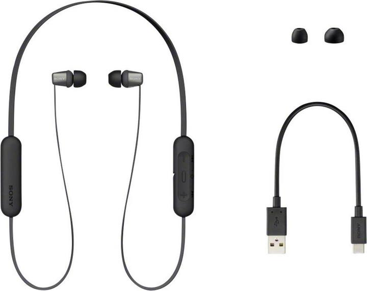Image du produit Sony WI-C310 (15 h, Sans fil)