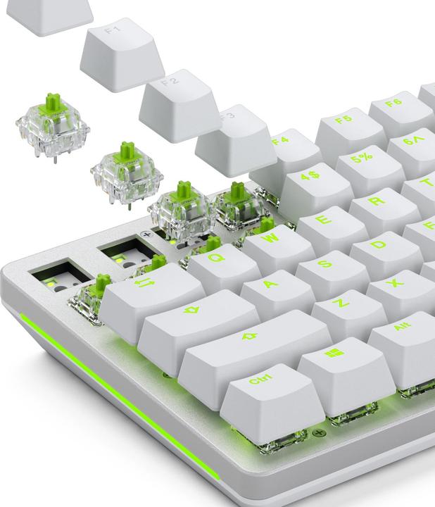 Produktbild Glorious Raptor Standard Switch, mechanisch, 5-Pin, clicky, MX-Stem, 55g - lubed, 36 Stück