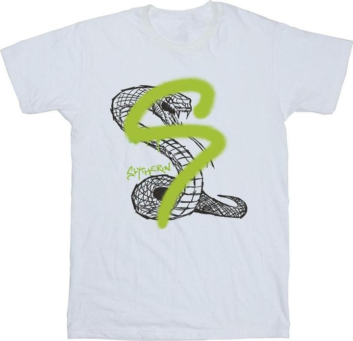 Actual product image Boys Slytherin Pop Spray T-Shirt (152, 158)