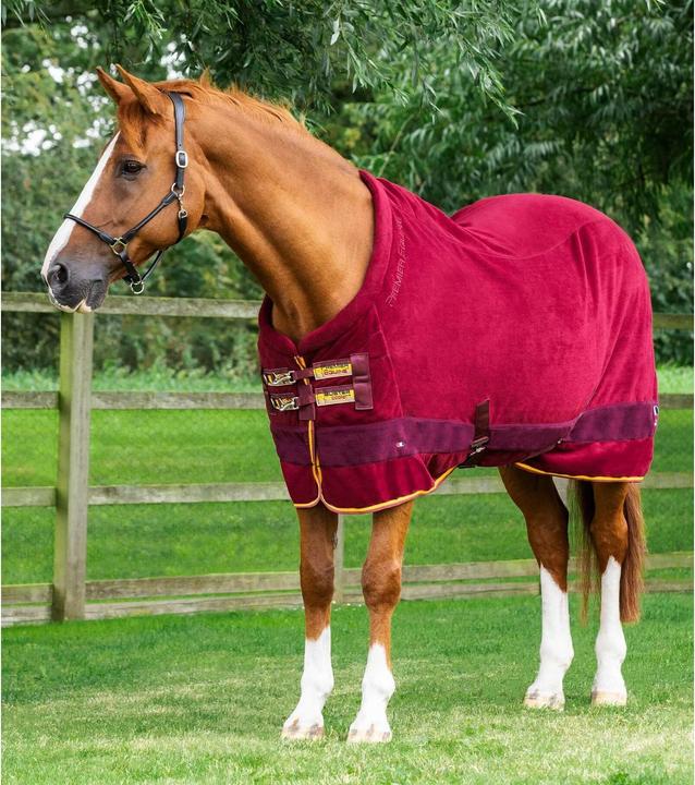 Produktbild Premier Equine Buster Continental 280g (213 cm)