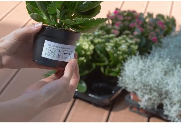 Actual product image HERMA Weatherproof labels A4 removable