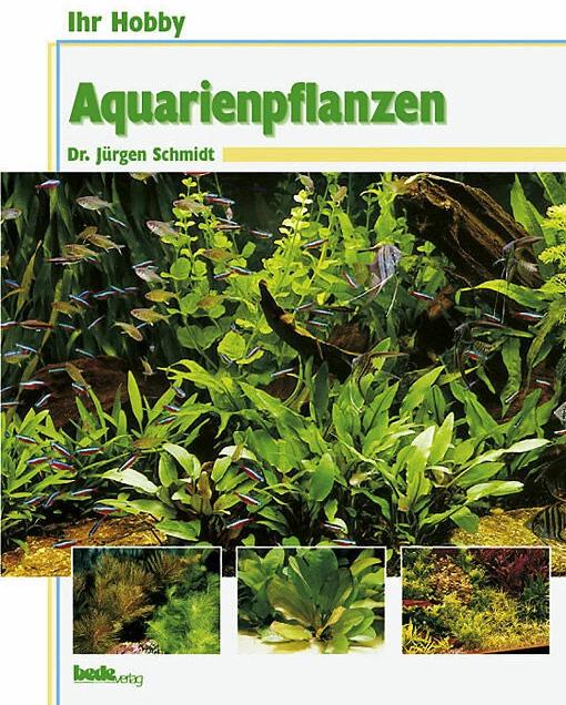 Actual product image Ihr Hobby Aquarienpflanzen (German, Jürgen Schmidt, 1997)