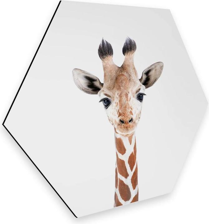 Image du produit Trenddeko Bébé girafe (55 x 47 cm)