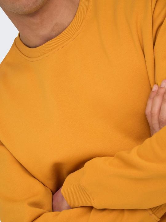 Produktbild Only & Sons Onsconnor Reg Crew Neck Sweat Noos (M)