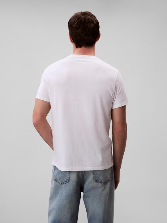 Immagine prodotto Calvin Klein Jeans Ss Badge 30s Jersey Classic Tee (M)