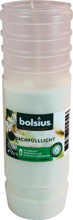 Produktbild Bolsius Ersatzkerze zu Grablicht (1 Stk.)