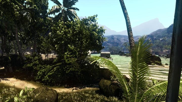 Actual product image Deep Silver Dead Island (PS3)