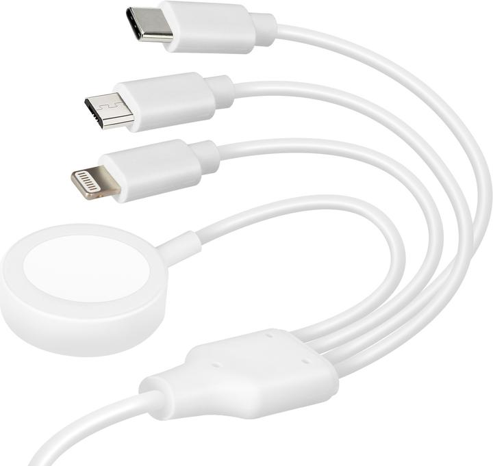 Immagine prodotto Avizar Cavo USB-C + caricatore per Apple Watch