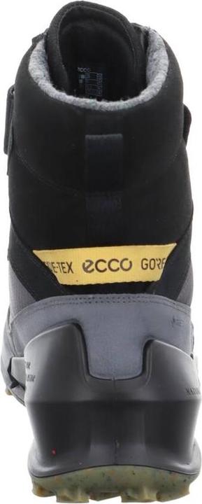 Produktbild Ecco Biom K2 GTX (31)