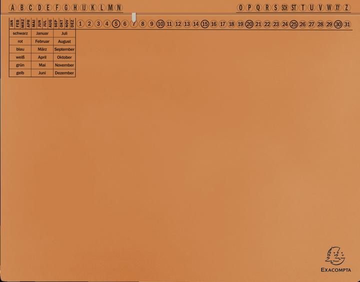 Produktbild Exacompta 25 Hängehefter Exaflex Karton orange 1 x Amtsheftung / kaufmännische Heftung (A4, 1 x)