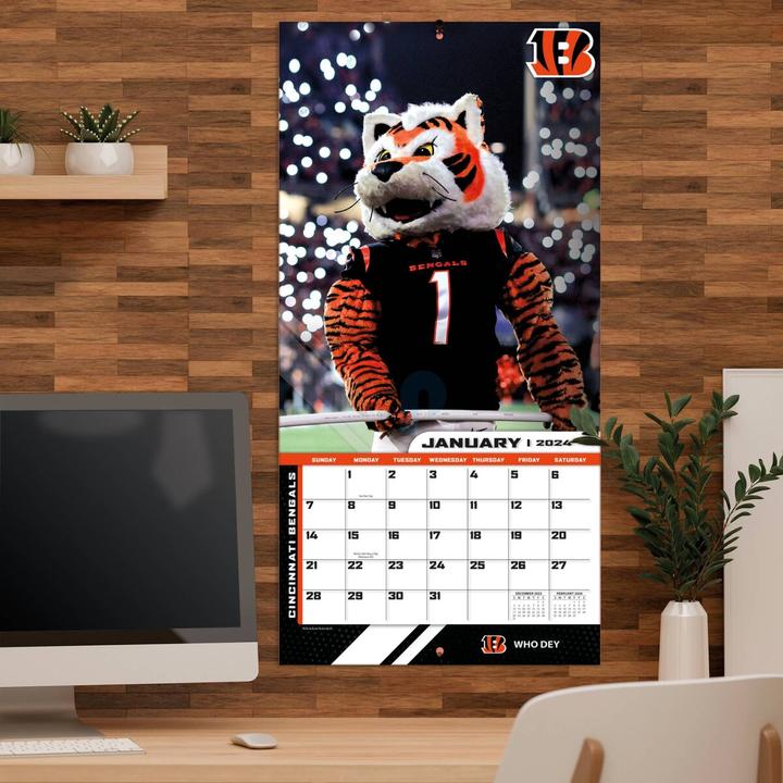 Actual product image NFL - NFL Maskottchen - 30,5 x 30,5 cm Wall Calendar 2024 (English, German, French, Italian, Spanish)