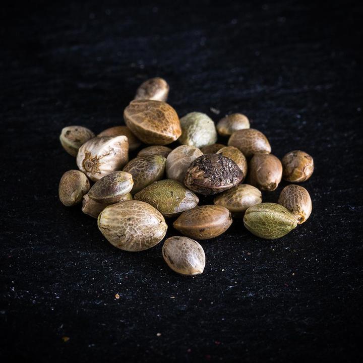 Image du produit KoRo Bio Hanfsamen ungeschält (1000g) (1000 g)