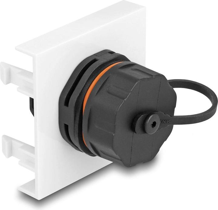 Immagine prodotto Delock Modulo Easy 45 Rete RJ45 Cat.6