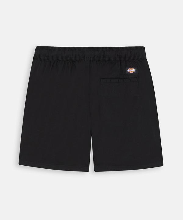 Immagine prodotto Dickies Vale Short W (S)