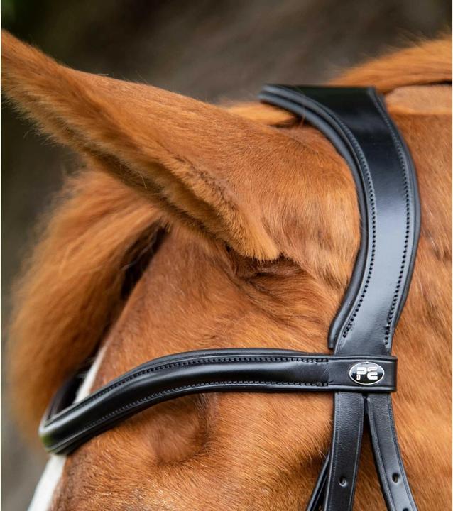 Produktbild Premier Equine Glorioso