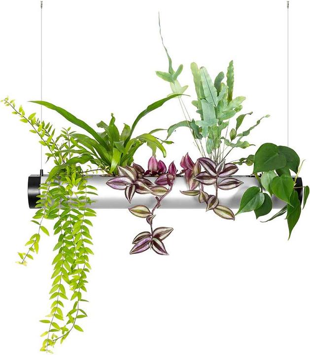 Pendularis Set 0.5 Rapid (50 cm)