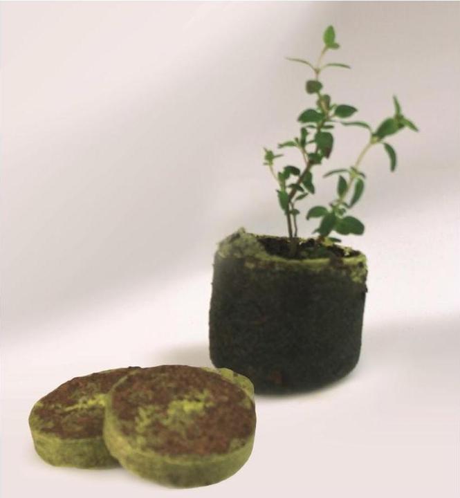 Image du produit Windhager Onglets sur les sources de culture