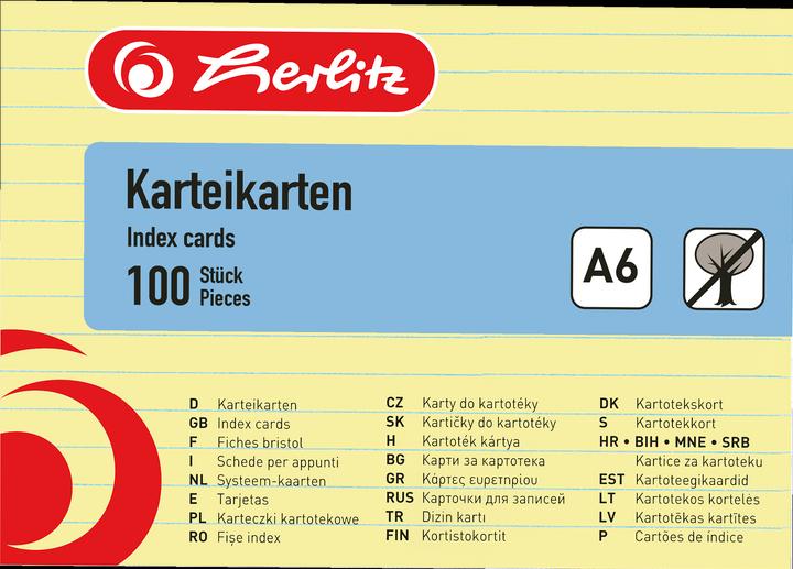 Herlitz Karteikarten (A6, 170 g/m², 100 x)