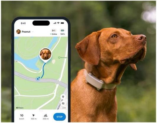 Produktbild Tractive GPS Tracker Dog 6 (Hund)
