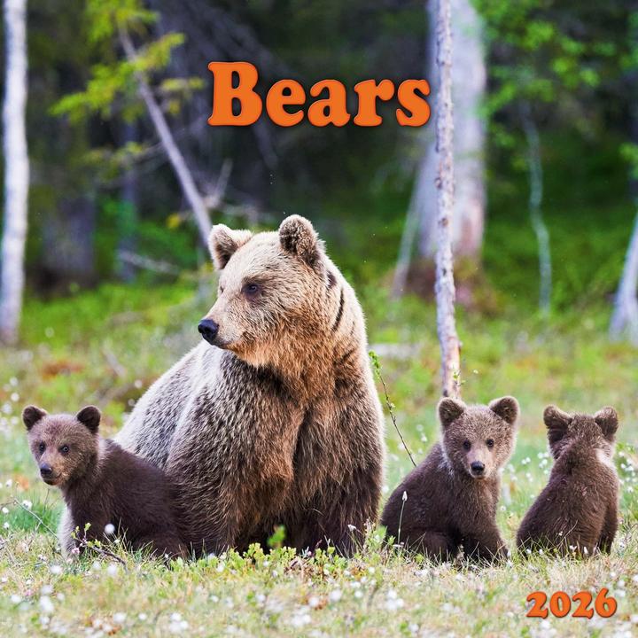 Actual product image Bears 2026 (30 x 30 cm, Spanish, Czech, English, Dutch, Polish, German, Italian, French)