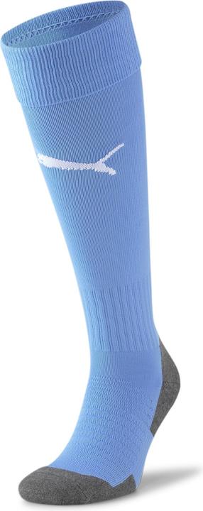 Actual product image Puma Team LIGA Socks CORE-703441 (27, 30)