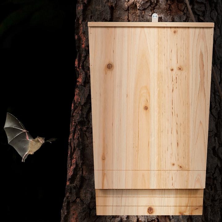 Immagine prodotto Relaxdays Scatola per pipistrelli