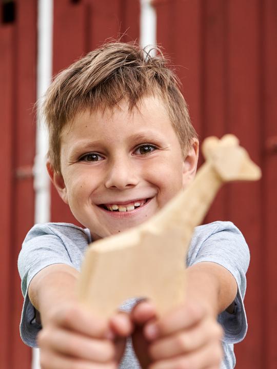 Actual product image Haba Terra Kids Wood Rasp Set