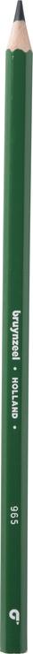 Immagine prodotto Bruynzeel Matita colorata Colorexpress (Cappa, Verde, Verde muschio, 60516965 x)
