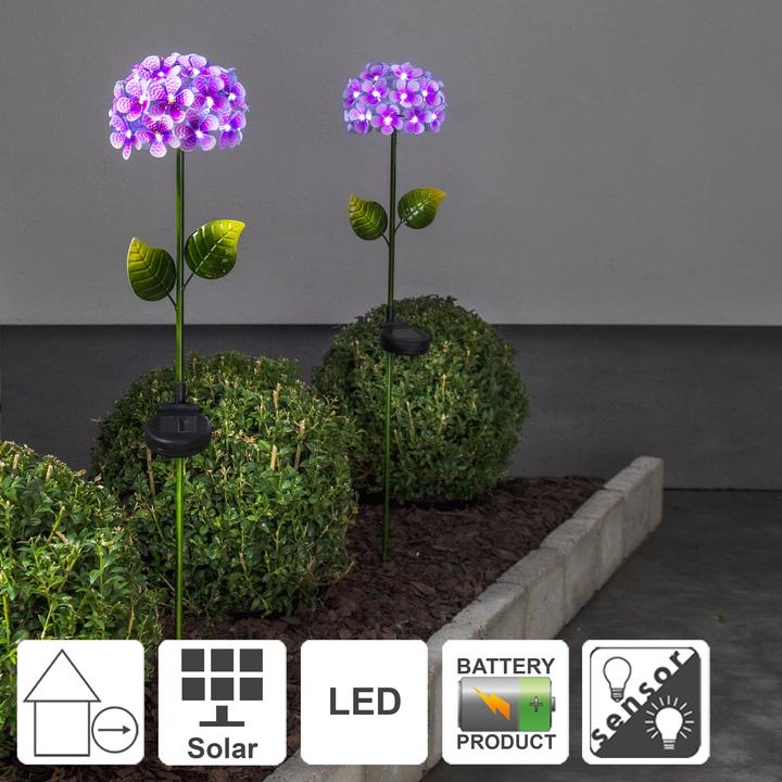 Produktbild Star Trading Hortensia (IP44)