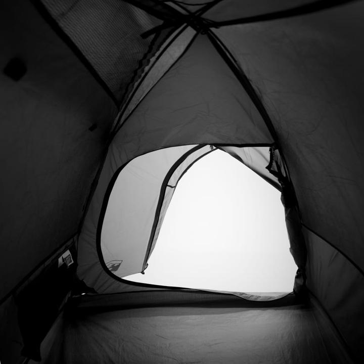 Actual product image VidaXL Jergan (Dome tent, 4 kg, 4 persons)