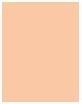 Image du produit MAC Cosmetics Studio Fix Tech Cream-To-Powder Foundation (N° NW10)