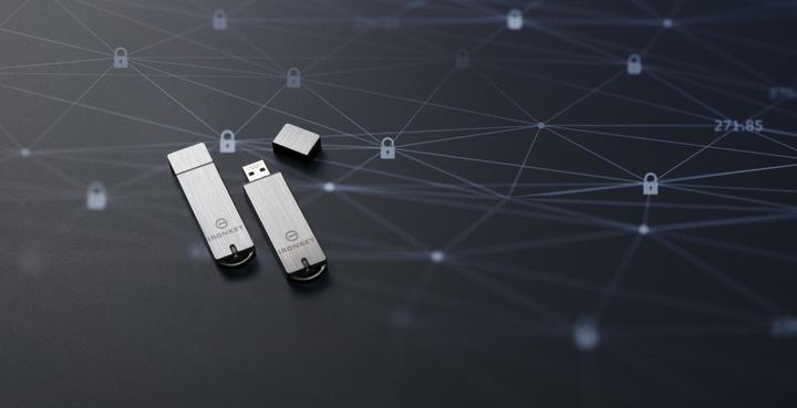 Image du produit Kingston Ironkey Basic S1000 (32 Go, USB-A, USB 3.1)