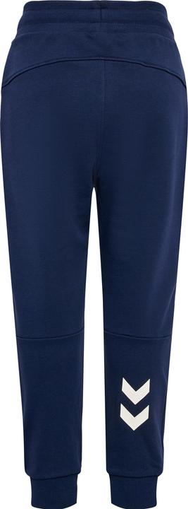 Actual product image hummel Hmlflow Pants (146)