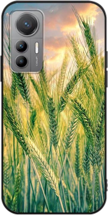 Cornfield