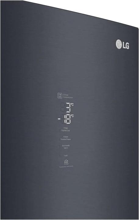 Actual product image LG GBB92MCACP (384 l)