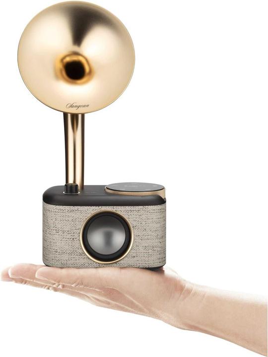 Actual product image Sangean CP 100D (DAB+, FM, Bluetooth)