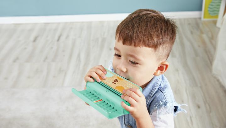 Image du produit Hape Bright Learning Harmonica (Anglais, Allemand)