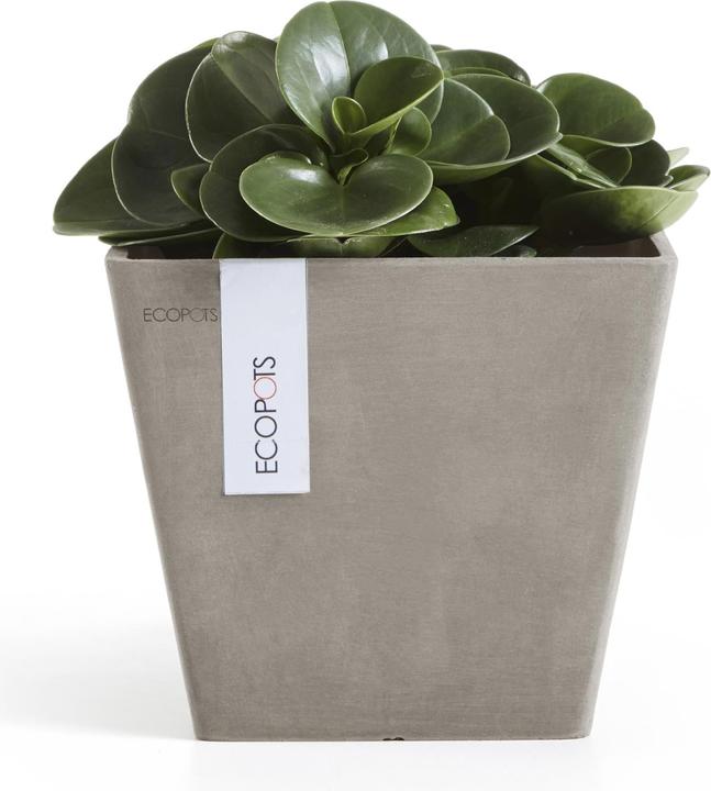 Actual product image Ecopots Rotterdam (20 cm)