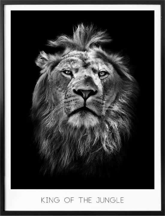 Immagine prodotto Trenddeko Leone - Re della giungla (100 x 120 cm)