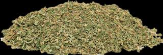 Immagine prodotto SlowWeed Crunch White Russian • CBD Trim Outdoor (Esterno)