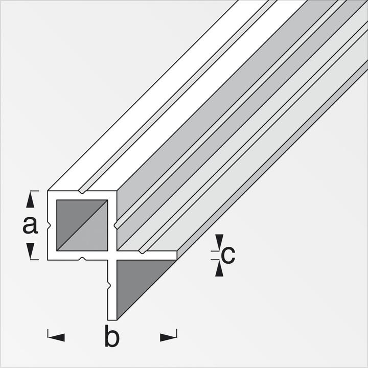 Image du produit Alfer Profilé tubulaire carré en aluminium 1m