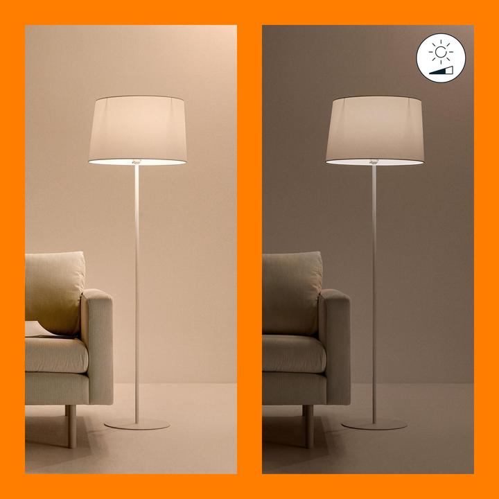 Actual product image WiZ LED strips (RGBW, 400 cm, Indoor)