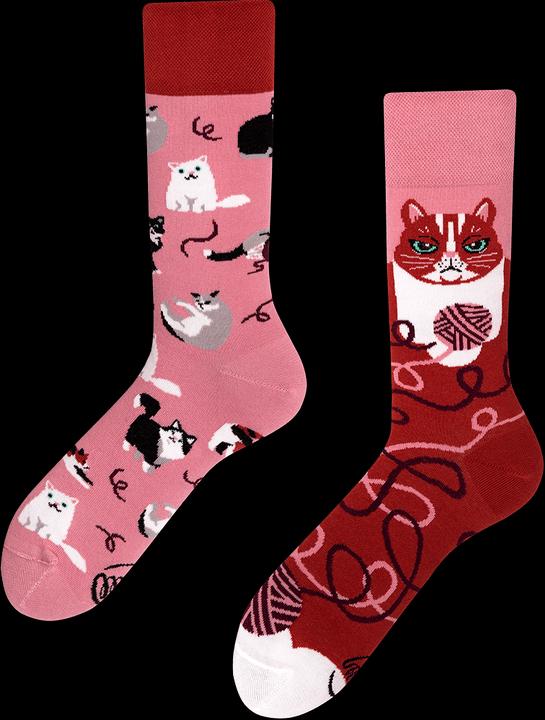 Produktbild Many Mornings Playful Cat (Einzelpack, 39 - 42)