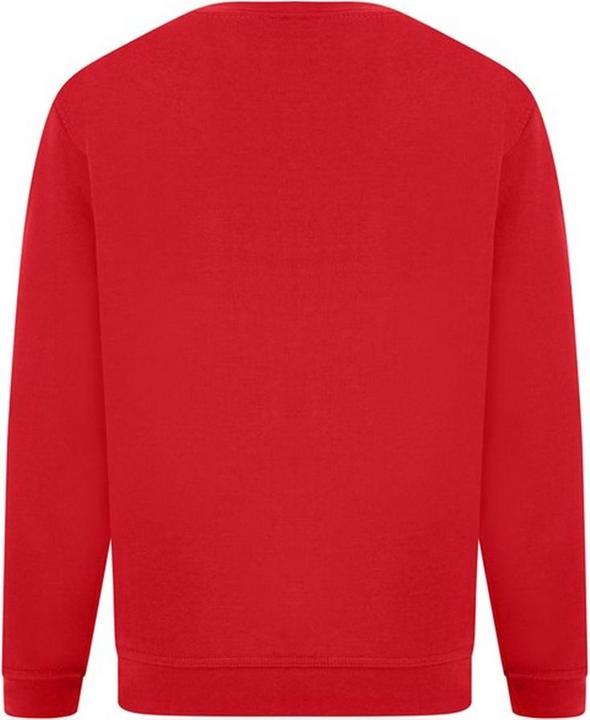 Actual product image Absolute Apparel UTAB113 P (6XL)