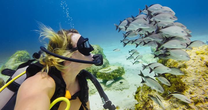 Actual product image GoPro Blue Water Dive Filter for Super Suit (Hero 5 Black)