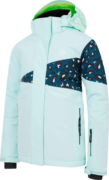Actual product image Dare2b Childrens/Kids Humour III Cheetah Print Ski Jacket (170, 176)