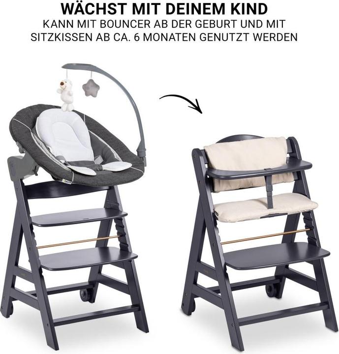 Image du produit Hauck Chaise haute Beta Plus Dark Grey 5-pièces Newborn Set - Chaise haute (Chaise haute)